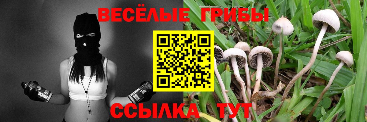 Псилоцибиновые грибы мухоморы  Псилоцибиновые грибы GOLDEN TEACHER  Вход с VPN  Брянск 